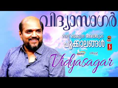 മനസ്സുനിറയ്ക്കുന്ന മെലോഡിയുടെ പൂക്കാലങ്ങൾ | K J Yesudas | K S Chithra | Vidyasagar super Hits