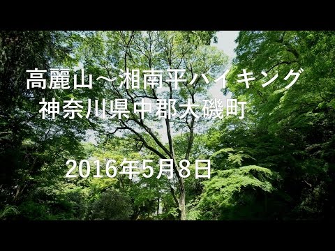 高麗山～湘南平ハイキング 2016年5月8日