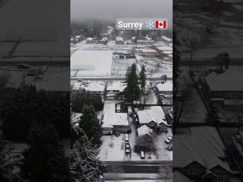 Surrey British Columbia #surrey #britishcolumbia #vancouver #richmond #viral #punjabi #punjab #short