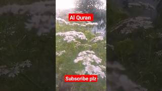 Al Quran Beautiful status 🥰🥰#shorts#ytshorts#viral#short YouTube veadios