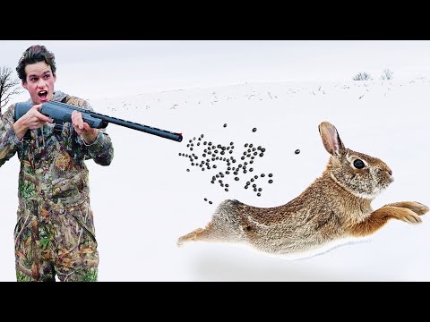 Rabbit Hunting with AIR SHOTGUN