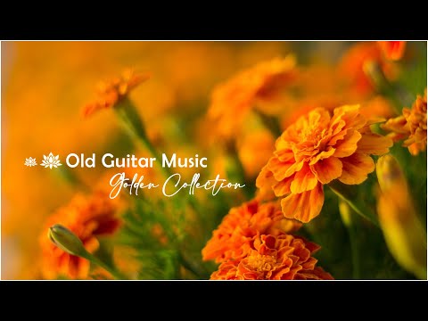 Relaxing Acoustic Guitar Love Song - 100 Love Songs That Remind You Of Love Memories