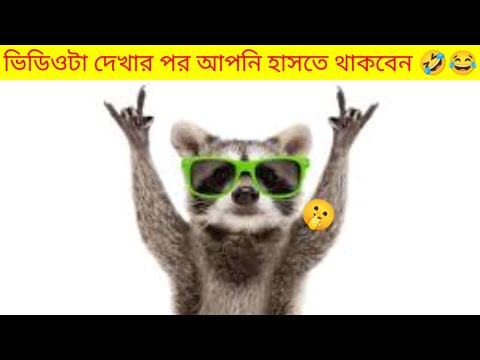 The video will keep you laughing 😂😂//animal funny moments \\#funnyvideo #animals #usmarttiko