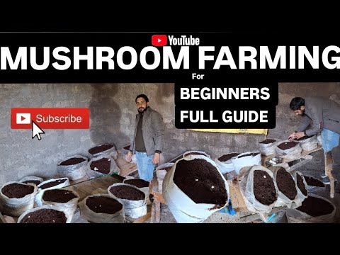 Mushroom farming in India | How to startup Mushroom business Beginners full guide | Caseing process