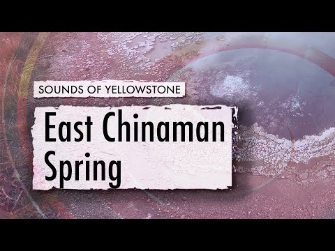 East Chinaman Spring — ASMR, Sleep, Concentration (Sounds of Yellowstone)