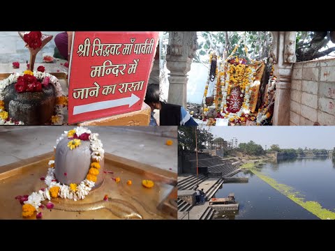 सिद्धवट उज्जैन | Siddhavat Mandir Ujjain | Siddhavat Ujjain | Siddhavat Ghat Ujjain | VlogGoals