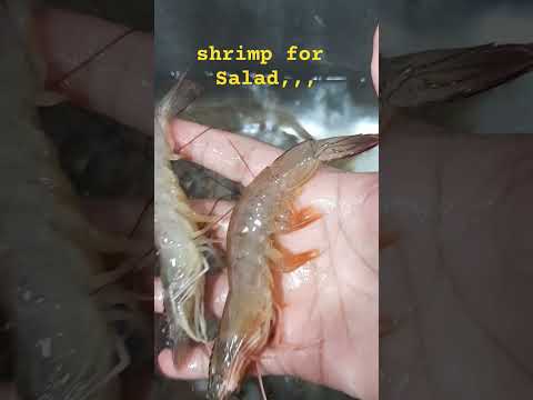 Fresh Shrimp for Salad #yummy  #trendingseafoods #dodreamdaizee #shortsp