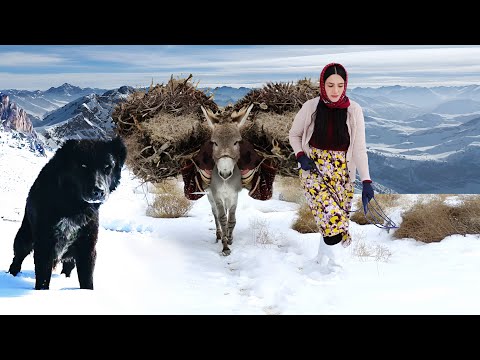 Village Lifestyle Iran: Amazing Cooking & Donkey Riding By A Girl