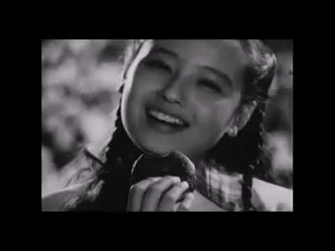 다시보는 1970년대 흑백 광고 샤니 오리온 삽립식품 TV CF