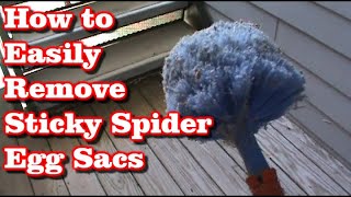 How to Get Rid of Spider Egg Sacs