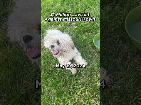 $1 Million Lawsuit Against Missouri Town  #dogs #teddy