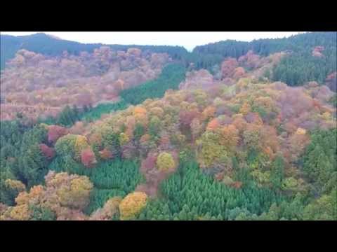 羊山空撮してみました