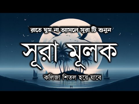 রাতে ঘুম না আসলে আয়াত টি শুনুন মনে প্রশান্তি আসবে সূরা মূলক by Zain Abu kautsar