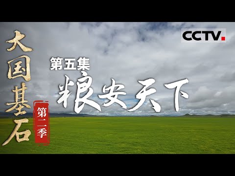 《大国基石》第二季 05 粮安天下：中国粮食产量连续9年超1.3万亿斤 稳居全球第一！守护国人餐桌 共筑美好生活！【CCTV纪录】