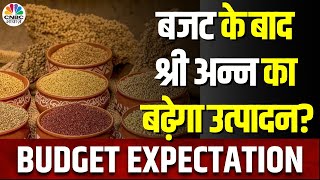 Budget Expectations | Millets की बुआई में बढ़ोतरी, बजट में मांग बढ़ाने पर सरकार लेगी फैसला?