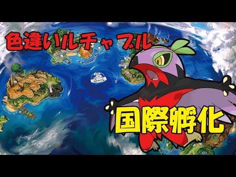 【ポケモンSM】色違い黒統一強化のためにルチャブル国際孵化ちう【ライブ配信】