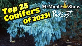 Top 25 Conifers Of 2023 Customer Choice | MrMaple Show Podcast