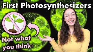 Evolution of Photosynthesis: Were Anoxygenic or Oxygenic Phototrophs First? | GEO GIRL