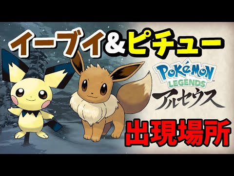 イーブイとピチューを初期MAPから入手する方法【ポケモンアルセウス】