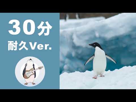 【30min Loop Music】Jet Penguin 3rd - Noiseless World 【Official】