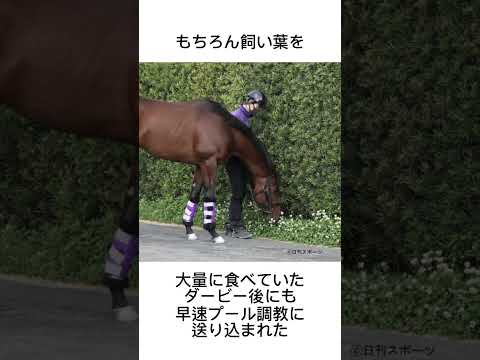 大食漢ドウデュース　#競馬 #馬 #騎手 #競艇 #競輪#雑学#ドウデュース