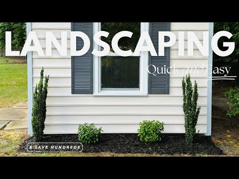 Landscaping | Beginner Friendly & Affordable