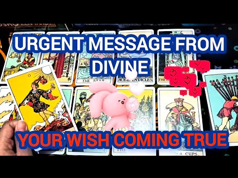 All sign:Urgent message from divine/god 💗quick update ✨hindi/english tarot ✨timeless tarot 💜