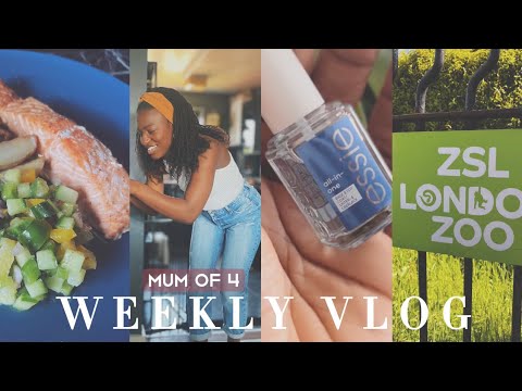 WEEKLY VLOG | London Zoo, Summer Days, Kibbe Body Type, Family Time, Mum Life | London mum of 4