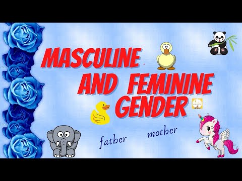 Masculine and Feminine Gender/पुल्लिंग स्त्रीलिंग /With All About Kindergarten🙂