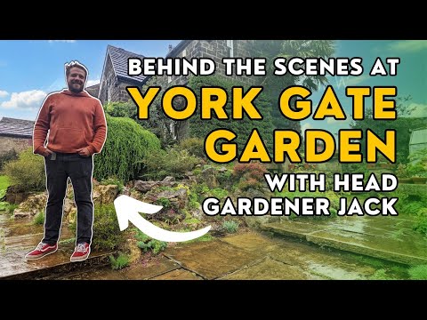 TROPICAL PLANT PARADISE! Behind the scenes at York Gate Garden, Leeds (BBC Gardeners' World 2023)