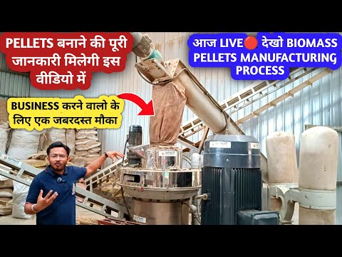 biomass Pellets Manufacturing Live Plant || biomass Pellets Business || Biomass Trunky Solution