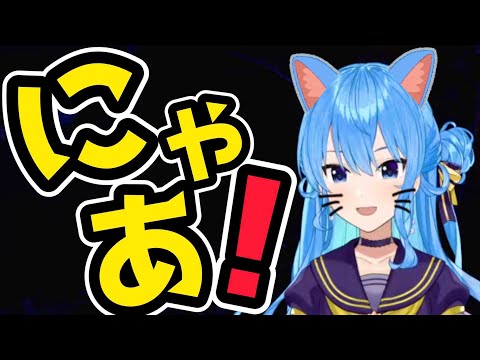 【星街すいせい】猫になったすいちゃんがかわいすぎる【ホロライブ切り抜き】