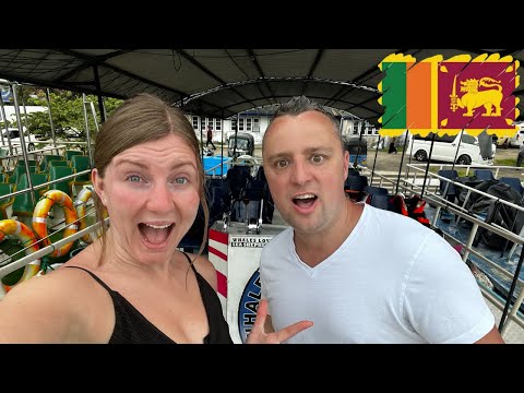 We hired a huge boat to go whale watching in Mirissa Sri Lanka 🇱🇰