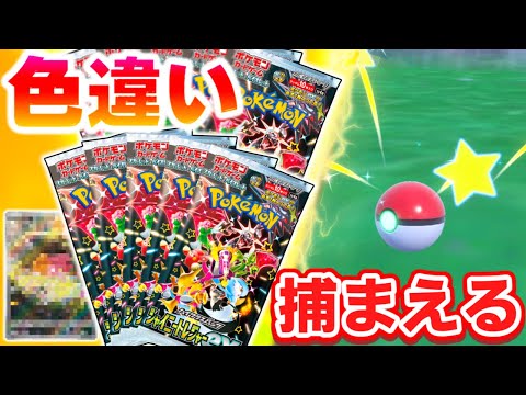 【神引き】シャイニートレジャーBOX開封で出た色違いをSVで捕まえます！【ポケモンSV】【ポケモンカード】【ゆっくり実況】