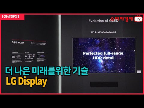 [생생현장] LG 디스플레이, “더 나은 미래를 위해”  #lg #lgdisplay #K-디스플레이2024