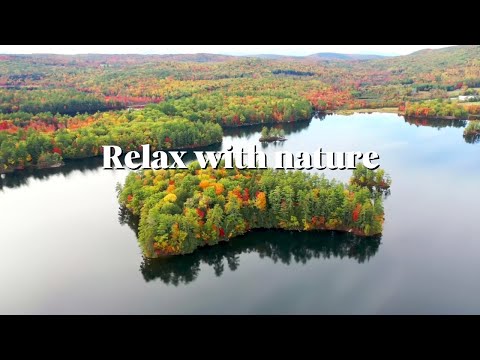 Be relax song | Relax with nature | Stress relief 🌿✨