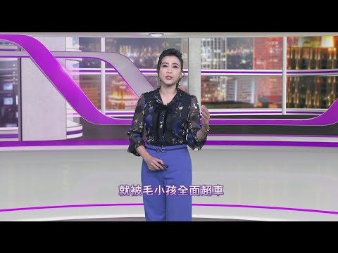 《新聞思想啟》 第135集 守護毛小孩