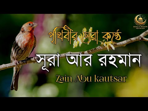 চমৎকার কন্ঠে সূরা আর রহমান (الرحمن) | Surah Rahman by Zain Abu Kautsar