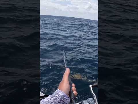 The ONE Thing You Don't Want to Happen While Fishing Offshore!!