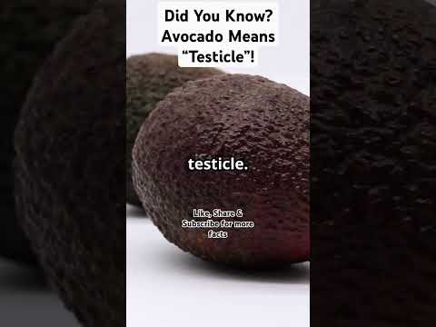 Did You Know? Avocado Means “Testicle”! #superfood #facts #ytshorts #superfoodsecrets #stuffed