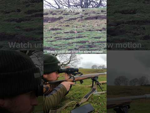 Arken Zulus LRF Daytime Rabbiting | Ballistic Calculator In Use | .22LR 40Grain Subsonic