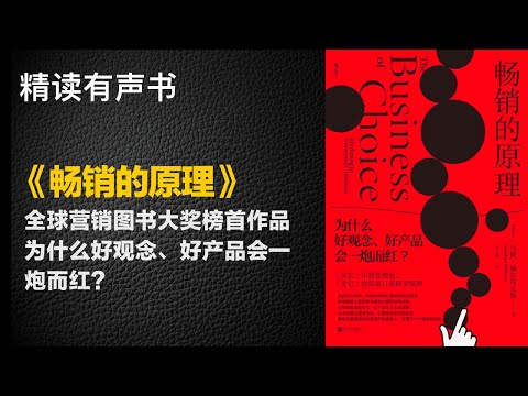 全球营销图书大奖榜首作品 - 精读《畅销的原理》- 为什么好观念、好产品会一炮而红？