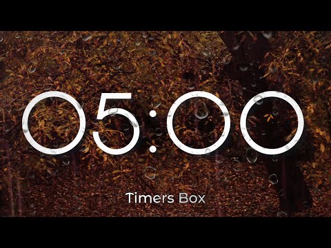 5 Minute Rainy Autumn Timer with Soothing Rain Sounds and Alarm at End 🍁 ⏲️