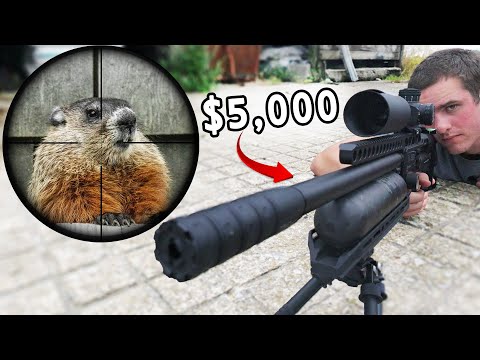 Hunting with $5,000 Airgun! (Scope Cam)