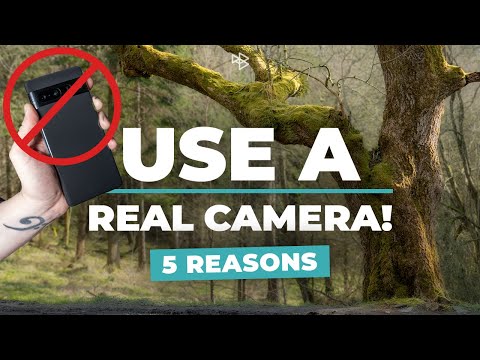 Why You Should Probably Be Using a Real Camera Not a Smartphone