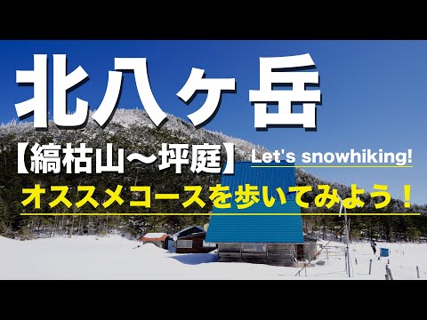 【北八ヶ岳スノーハイク】雪山入門に最適！無理のないコースを歩いてみよう！