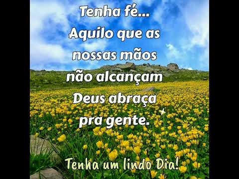 Mensagem Bom dia! 🌞 Tenha um lindo Dia 🙏🌻