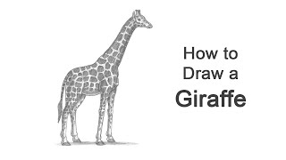 How to Draw a Giraffe