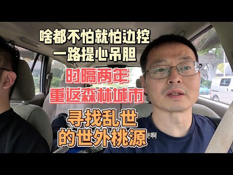 啥都不怕就怕边控 一路提心吊胆|新加坡果然名不虚传|时隔两年重返森林城市 寻找乱世的世外桃源