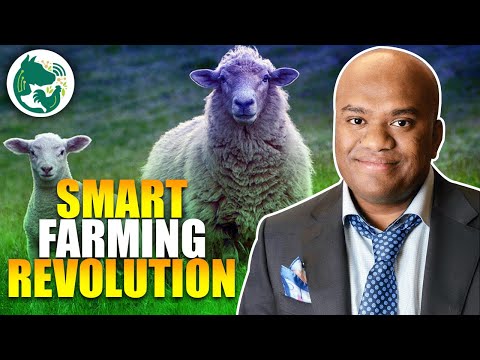 Smart Farms   Sensors for Animals in Future Food Systems -  Korean Academy of Science